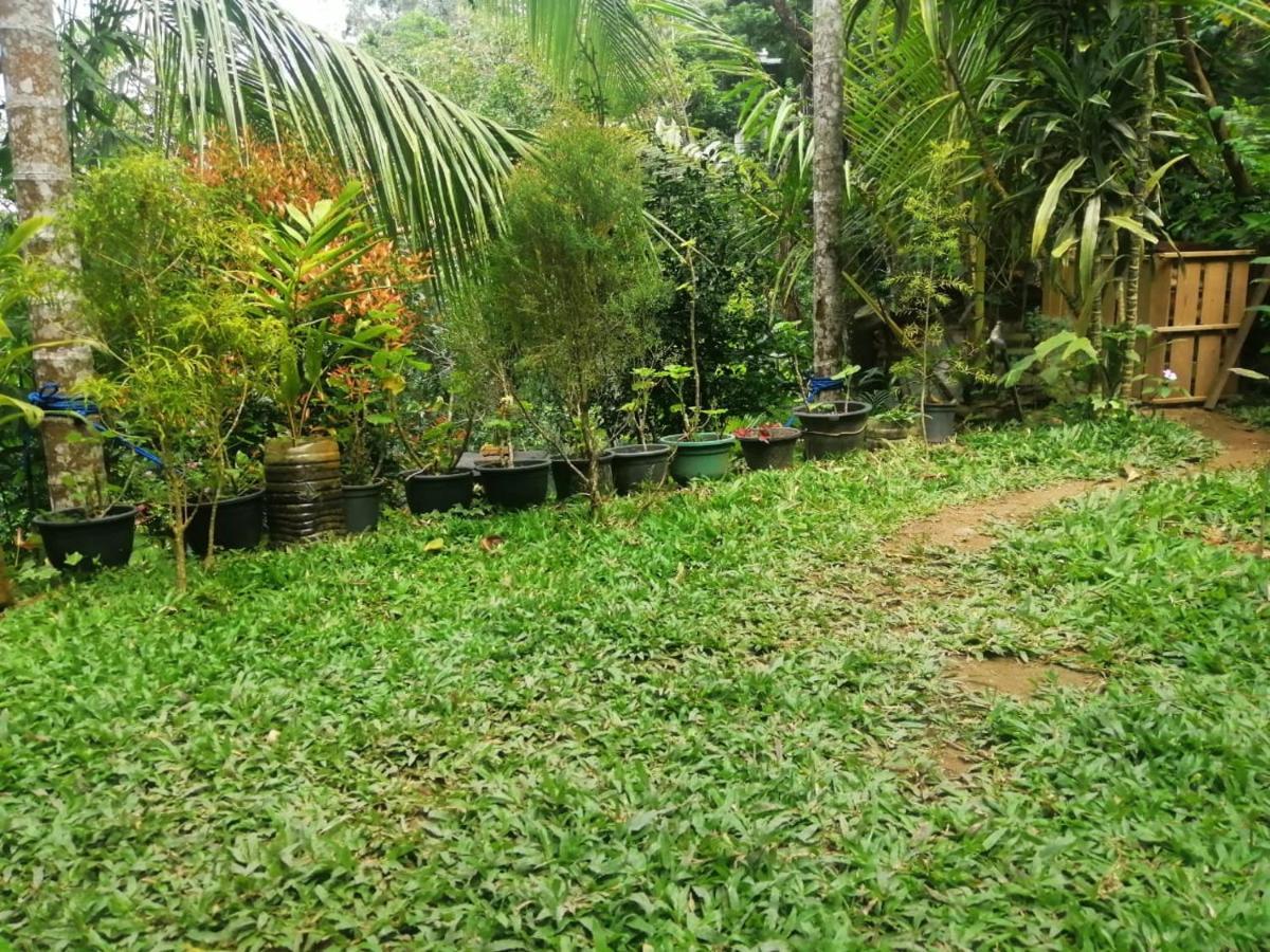 Sky Garden Ella Apartment Exterior photo